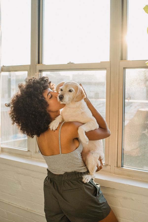 بيديجري طعام رطب للكلاب بالدجاج والخضار 400 جم thumbnail 3